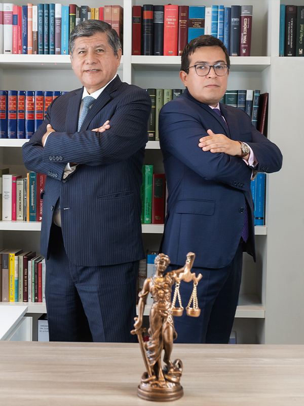 Especialista en Litigios